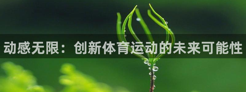 yy易游官方集团官网:动感无限:创新体育运动的未来可能性