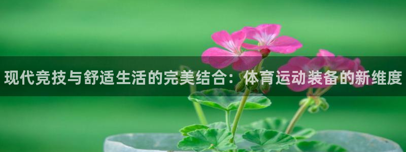 yy易游官网下载平台假的吗是真的吗:现代竞技与舒适生活的完美
