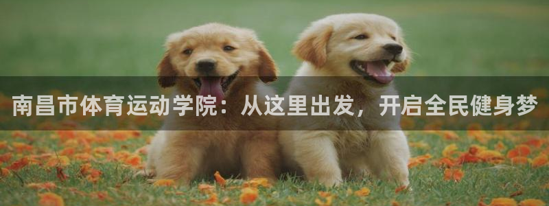 yy易游官网下载:南昌市体育运动学院:从这里出发,开启全民健