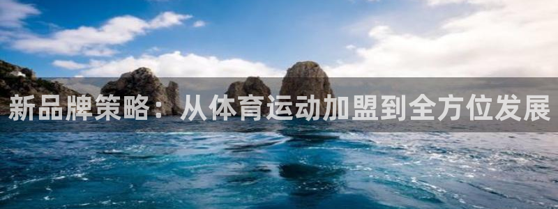yy易游官方正版app娱乐40996:新品牌策略:从体育运动