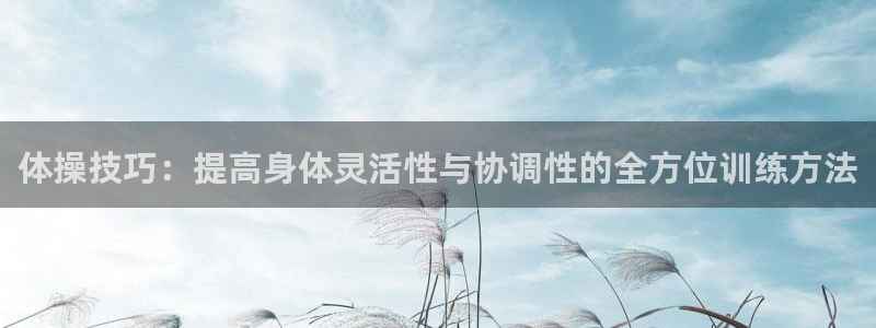 yy易游官网下载平台注册:体操技巧:提高身体灵活性与协调性的